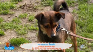 SALVA UN AMICO - 24 FEBBRAIO 2026