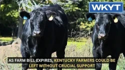 As Farm Bill expires, Kentucky farmers could be left without crucial support