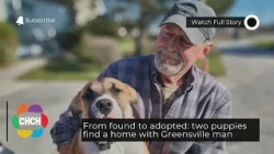 From found to adopted: two puppies find a home with Greensville man