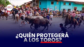 Alcaldía de Masaya promociona tope con 10 toros mientras ley exige protección animal