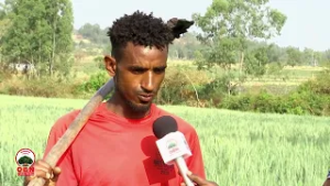 Hojiilee Misoomaa hawaasummaaf diinagdee Aanaa Gooroo