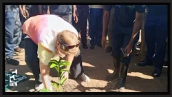 WITNESS HOW THE SWEDISH AMBASSADOR TO TANZANIA PARTICIPATES IN A TREE-PLANTING EXERCISE