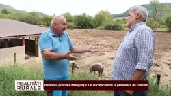 Rural Realities Bogdan Tudor P2 - Mangalica Culinary Experience in Ocna de Sus 10/11/2026