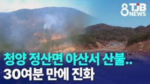 청양 정산면 야산서 산불..30여분 만에 진화｜ TJB 대전·세종·충남뉴스
