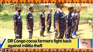 DR Congo cocoa farmers fight back against militia theft