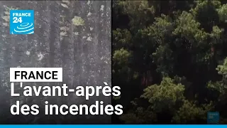 L'avant-après saisissant des incendies dévastateurs en Gironde et dans les Landes • FRANCE 24