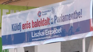 Liszkai Erzsébet: kell a baloldal a Parlementbe