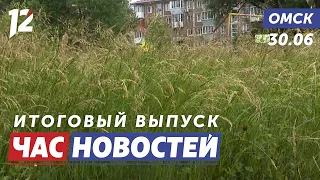 Overgrown streets / Abandoned cafe demolition / Parachuting. Omsk news