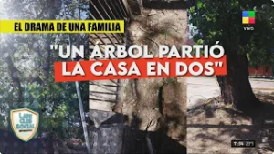 ? TEMPERLEY: UN ÁRBOL DESTROZÓ LA CASA DE UNA FAMILIA Y NADIE LOS AYUDA