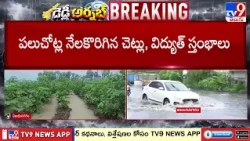 Heavy Rains Damage Cotton Crops in Vizianagaram - TV9