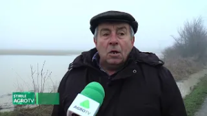 Dambovița, terenuri agricole sub apă 04 03 2026