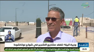 Minister of Environment inspects afforestation projects on the streets of Nouakchott