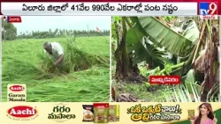 Cyclone Arnab Devastates AP, Farmers Face Massive Crop Losses | రైతు కంట కన్నీరు - TV9