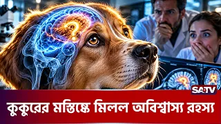 কুকুর কি মানুষের ভাষা বুঝতে পারে?  | SATV | Dogs | Dog Language