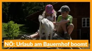 NÖ: Urlaub am Bauernhof boomt