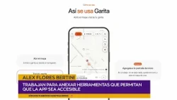 Alex Flores Bertini | Free App