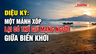Diệu kỳ: Một mảnh xốp lại có thể giữ mạng người giữa biển khơi | Cần Thơ