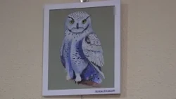 Mala platna veliki svetovi – izložba Kaleidoskopa u Novoj Pazovi
