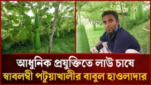 আধুনিক প্রযুক্তিতে লাউ চাষে স্বাবলম্বী পটুয়াখালীর বাবুল হাওলাদার | Mytv News