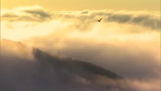 First "Sea of Clouds" of the season in the Tsuyama Basin, northern Okayama: A magical 180-degree ...