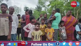 🔴 ଗୋବରୀ ନଦୀରେ କୁମ୍ଭୀର ଆତଙ୍କ