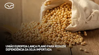 União Europeia lança plano para reduzir dependência da soja importada