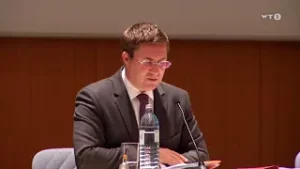 Gemeinderatssitzung Wels -16.10.2017