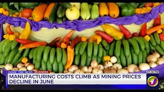 Manufacturing Costs Climb as Mining Prices Decline in June | Business Day