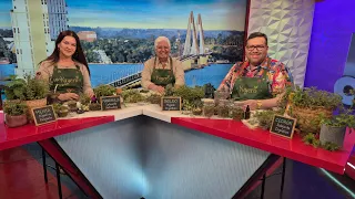 Christmas Parties of Yesterday and Today with Oscar Gaona - La Tele con Vos 07/29/2026