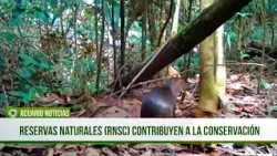 Reservas Naturales de la Sociedad Civil (RNSC) contribuyen a la conservación