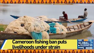 Cameroon fishing ban puts livelihoods under strain