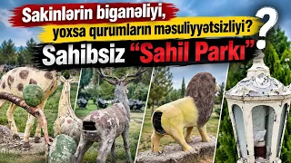 Sakinlərin biganəliyi, yoxsa qurumların məsuliyyətsizliyi?