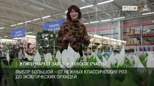 В гипермаркет завезли женское счастье