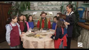 მისალოცი ბარათები ამშრალი ყვავილებისგან; შაბათ-კვირის დილა-2026.02.28