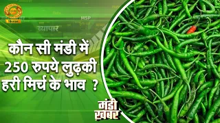 Mandi Khabar: किस मंडी में 250 रुपये लुढ़के हरी मिर्च के भाव? | आज के ताज़ा मंडी भाव | DD Kisan