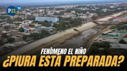 Is Piura prepared for El Niño? More than 12,000 dengue cases | Analysis