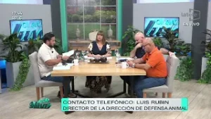 Armaron fiesta y maltrataron gallinas por diversión. Contacto Luis Rubín, director de Defensa Animal