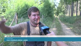 FOVY POMÁHÁ LESŮM I LIDEM