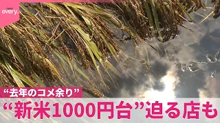 【コメ】「なんでこんなに安いの、安すぎる」“去年のコメ余り”で…“新米1000円台”迫る店も  農水相も「のぞましくない」と懸念  台風被害で農家は「往復ビンタくらった感じ」