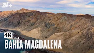 Bahía Magdalena, Baja California Sur | 4K | Sonidos del mar