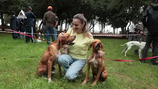 Republican Hunting Dog Show Held in Sukhum