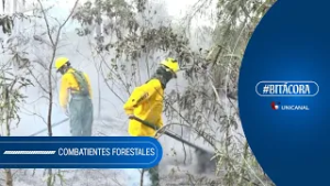 BITÁCORA l COMBATIENTES FORESTALES