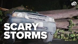 The brutal aftermath of last night's storms in Washington, DC
