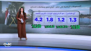 Digital Payment Companies in Egypt Continue to Grow