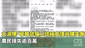 大湖爆「草莓詐騙」！　謊稱高價收購失聯　農民損失逾百萬｜華視新聞 20260228 @CtsTw