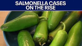 Salmonella cases are on the rise in the U.S. | FOX 7 Austin