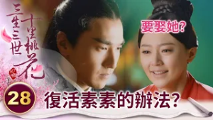 為了復活灰姑娘 太子不惜娶害死她的罪魁禍首？！【三生三世十里桃花】精華 EP28-1 楊冪、趙又廷、迪麗熱巴、高偉光、張智堯 @ctvdrama_classic