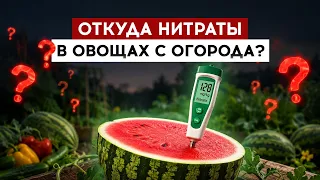 Откуда нитраты в овощах с огорода?