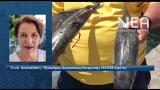 ΓΕΩΤΕΕ ΓΙΑ ΕΞΑΠΛΩΣΗ ΛΑΓΟΚΕΦΑΛΟΥ
