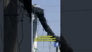 "Meyve Bahçelerinde Işık Şiddetinin Ayarlanması İçin Perde Sistemi Uygulanmaktadır"  #shorts